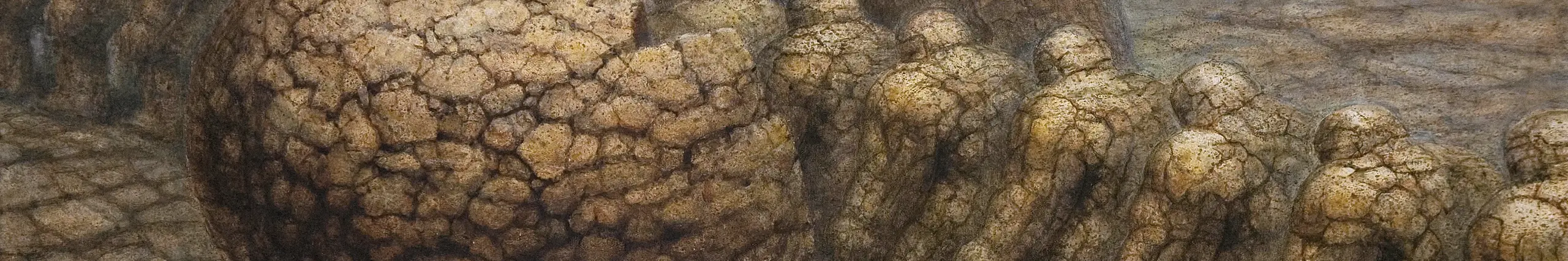 neolithic - new stone paintings from DE ES
